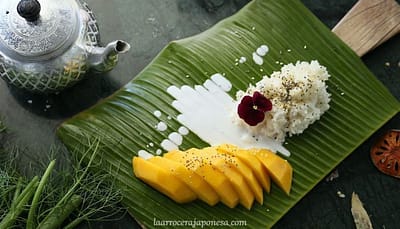 Cuckoo-Arrocera-arroz-glutinoso Cuckoo-Arrocera-arroz-glutinoso