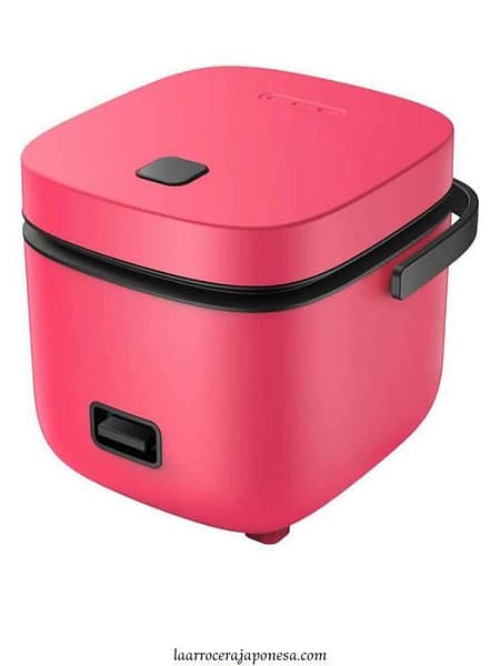 Comparativa arroceras estilo japonés baratas